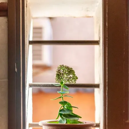 Via Castaldi Apartment Rome
